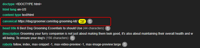 Canonical Tag SEO Guide for Developers